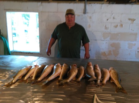 Upper Red lake walleyes