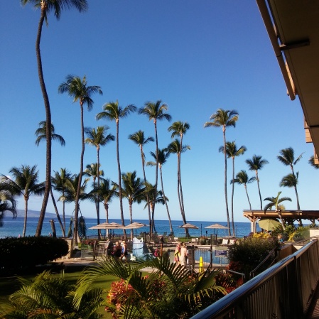 Mana kai resort kihei maui. My view from work