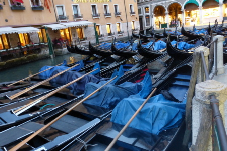 Sleeping Gondolas Venice