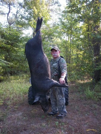 1st wild hog killed at deer camp