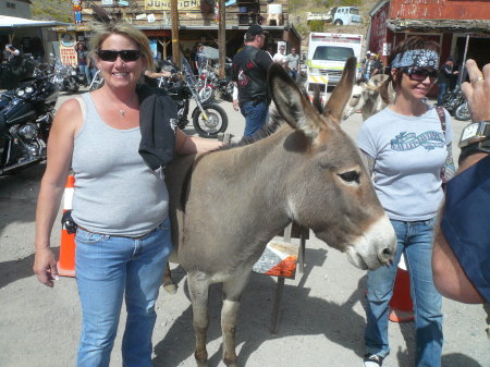 Oatman AZ