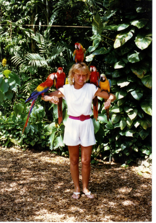 Parrot Jungle, Miami Bch, Fl.