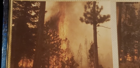 Lassen National Forest 