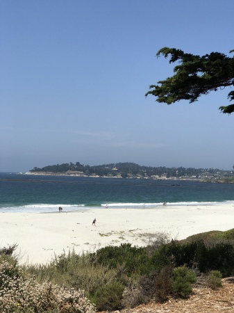 Carmel Beach