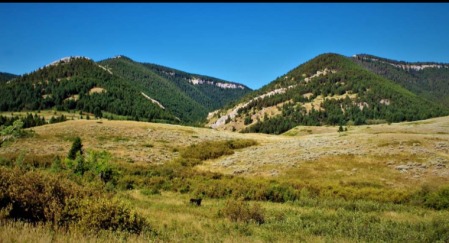 Montana 2022 foothills of Pryor Mountains, 