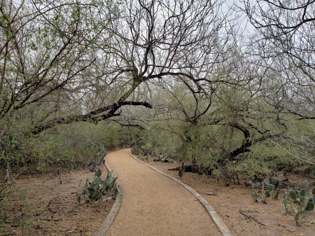 Mike Koehler's album, McAllen Nature Center