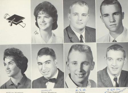 Stephen Wilson's Classmates profile album