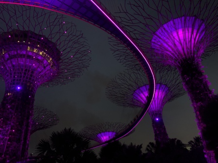 Gardens by the Bay - Singapore 2020