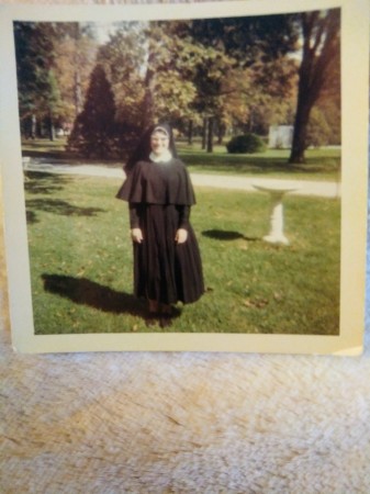 Springfield. Franciscans