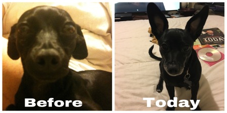 Bella “Before & After”