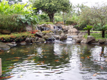 pond at the Marriott