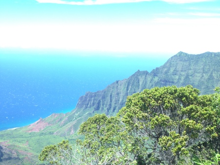 Frances Fullwood's album, Hawaii