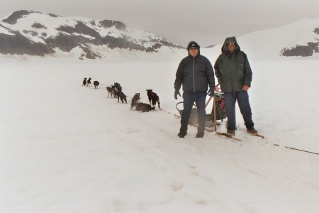 Alaska dogsledding 