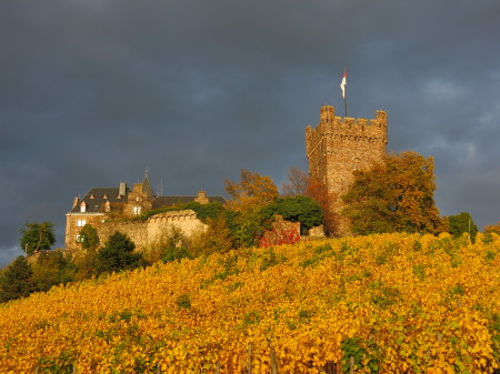 Burg Klopp Castle (November 2013)