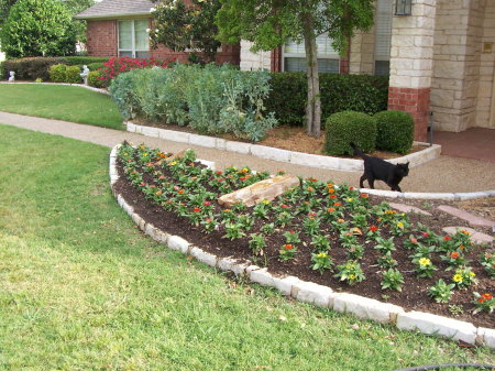 Pretty Boy, patroling his territory.