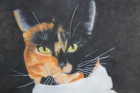 Acrylic art of my cat Belle