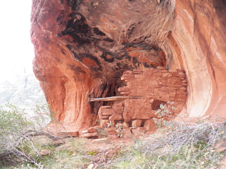 Ancient Ruin with Original Wood