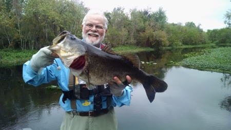 9 lb 6 oz Largemouth Bass