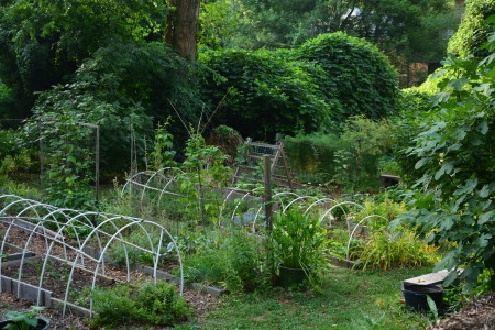 The Rose Circle Community Garden