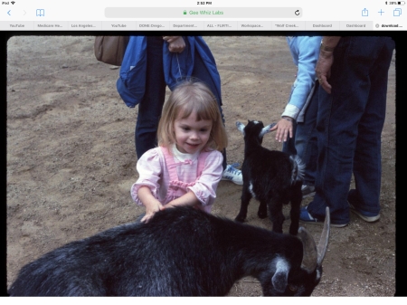 2 year old daughter -eldest at a petting zoo.