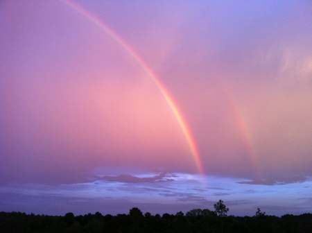 Double Rainbow, 2010