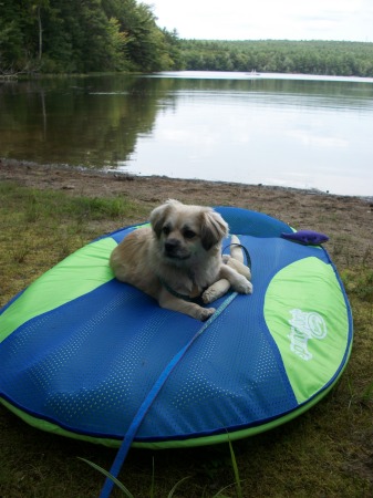 Chilling at Rocky Pond