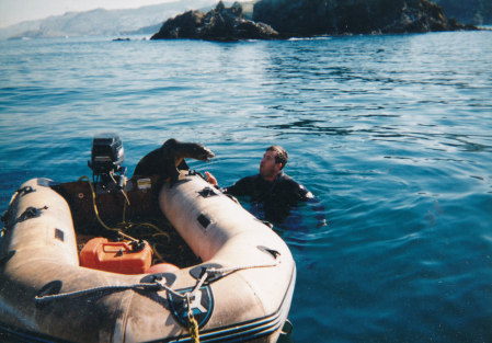 Diving at Catalina 