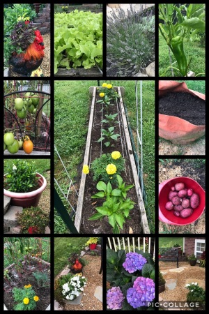 Garden time 👩🏼‍🌾👩🏼‍🌾👩🏼‍🌾