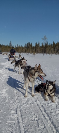 Finnish Wilderness Exodus tours 