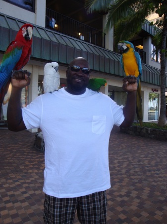 Hanging with the birds