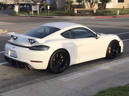 Most recent addition to “The heard “ 2021 GT4