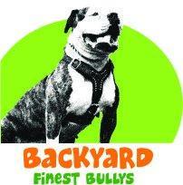 BackyardFinest Bullys's Classmates® Profile Photo