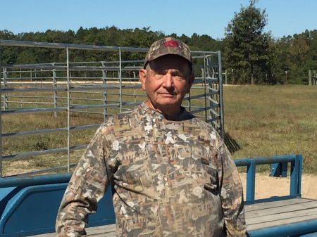 Retired and raising horses in Arkansas