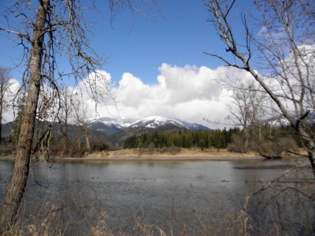 Cabinet Mountains