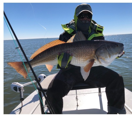 Louisiana Redfish 