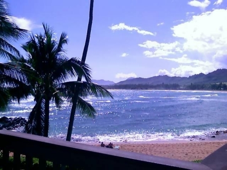 Love Kauai!