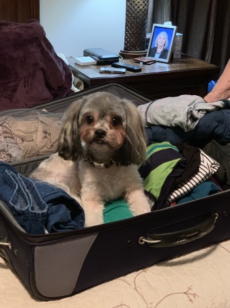 Buster wants to go on vacation too 