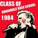 AHS Class of 1984 30 Year Reunion reunion event on Aug 16, 2014 image