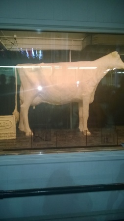 The famous Iowa Butter Cow
