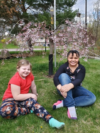 Cherry Blossom Queens