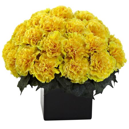 CLASS FLOWER: YELLOW CARNATION