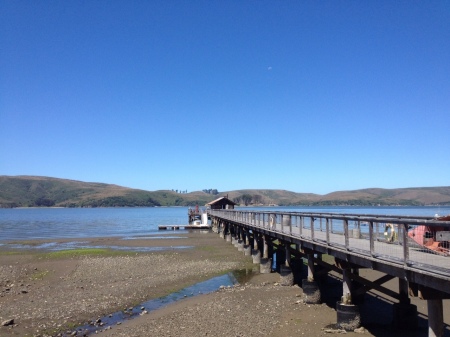 Tomales Bay