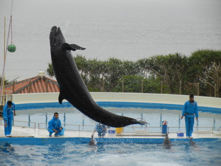 Lucretia (Kris) Boutwell's album, Okinawa