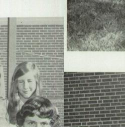 Diane Sullivan's Classmates profile album