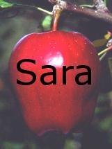 Sara Appel's Classmates® Profile Photo