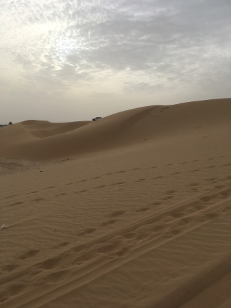 Sand Dunes 2019