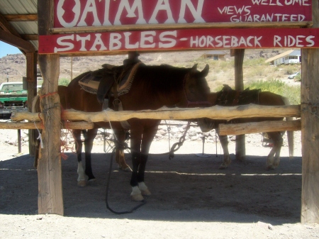 Oatman Stables