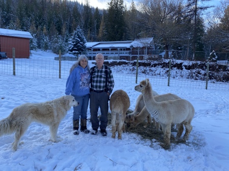 Our little farm in the woods