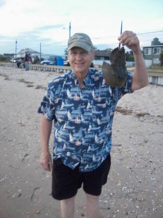 WITH DEAD HORSESHOE CRAB FORTESCUE NJ 2018