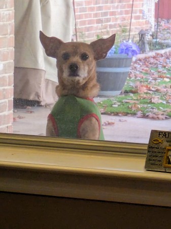 "Hey Mom ... You forgot about me!" Curly Sue 